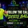 Follow the call of the Disco Ball by Ricky Levine